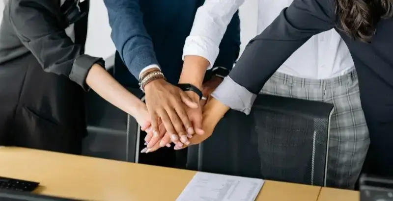 professional-consulting-team-visa-nest