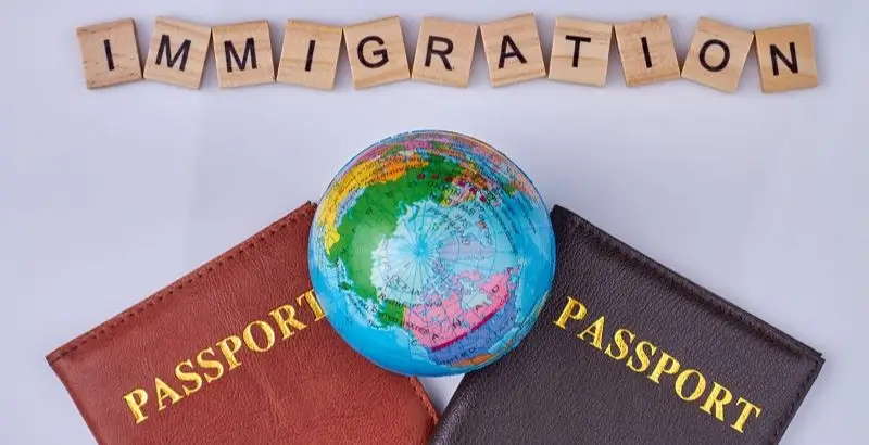 immigration-application-support-visa-nest