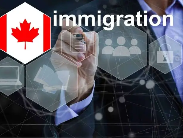 immigration-planning-services-visa-nest